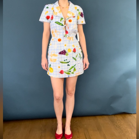 NWT Lisa Says Gah Picnic Alfresco Gingham Alexa Shirtdress XS - Picture 7 of 13